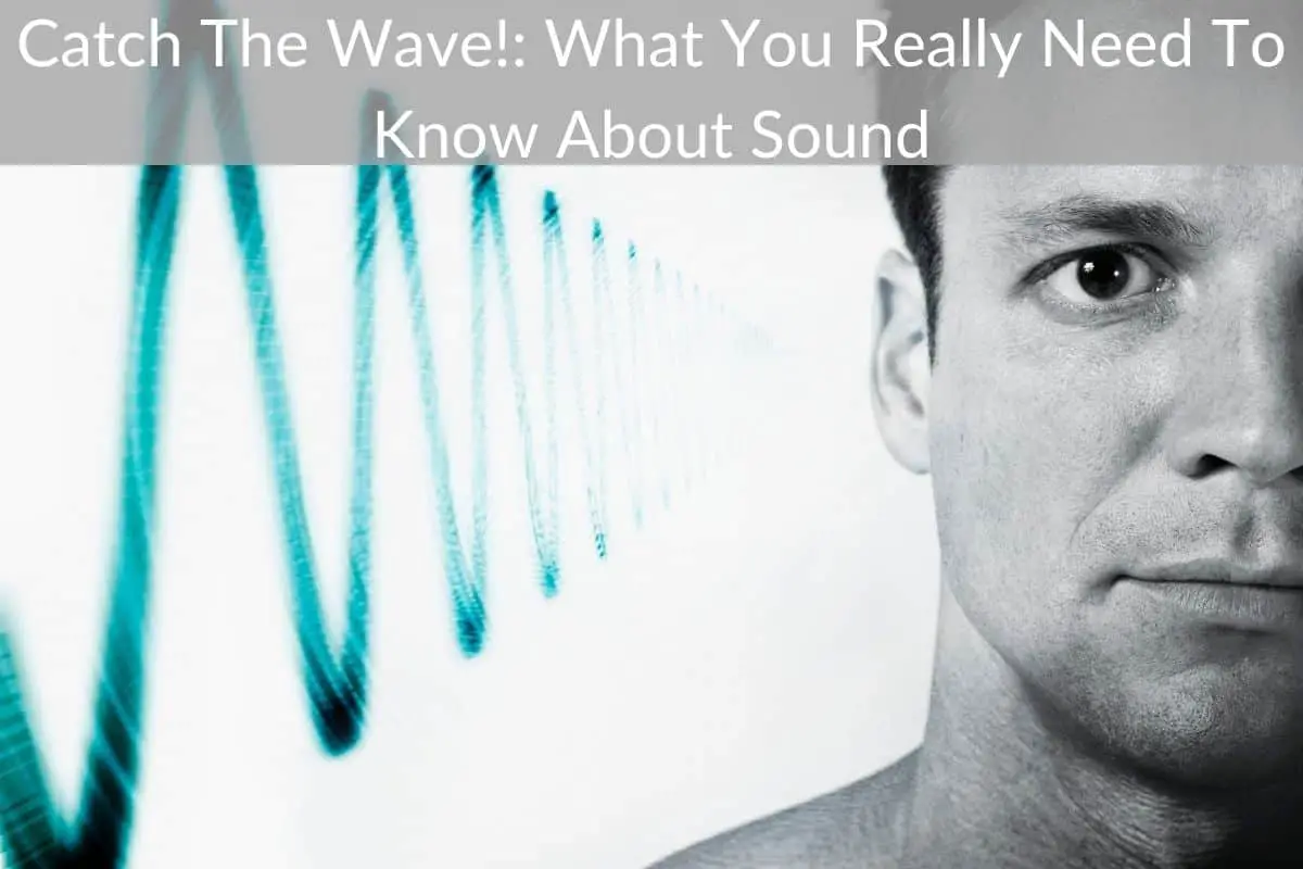 Catch The Wave!: What You Really Need To Know About Sound